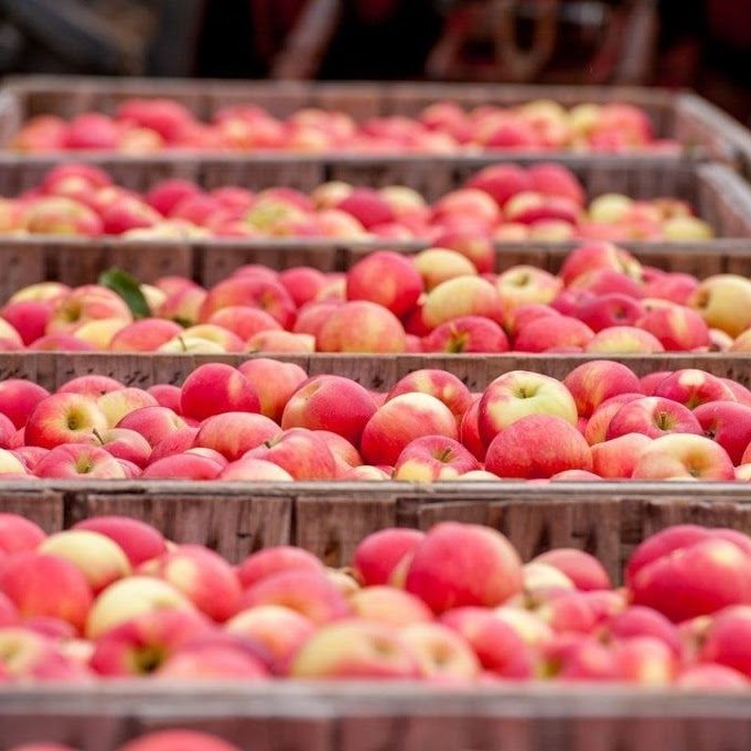 Новое поколение